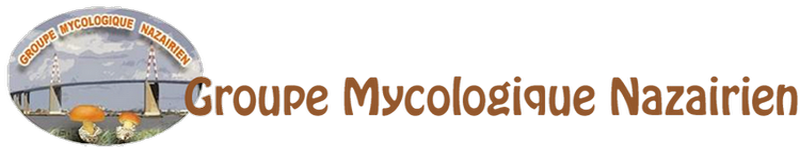 Groupe Mycologique Nazairien